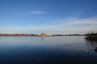 , 2013