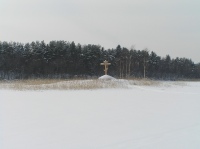 2009