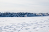 2014