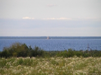 ����-��������