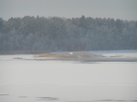 Ноябрь 2006