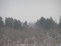 , 2006