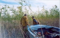 2005