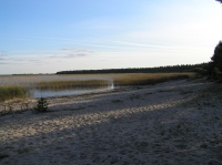 2007